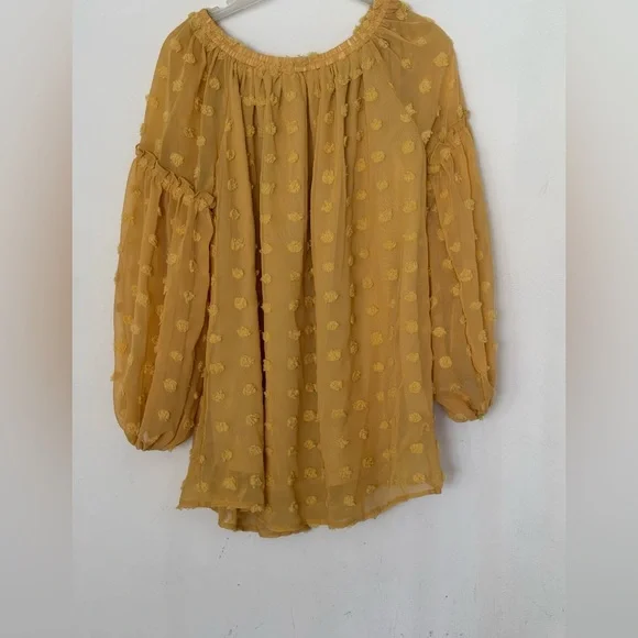 Women’s Long Sleeve Sheer Blouse Color Mustard Size Large - Picture 2 of 7
